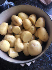 Week 3 - July 22 Low Carb Bootcamp - full-on or Light?