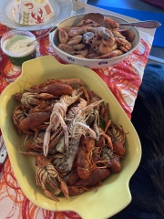 Swagger Inn 172.  While we're waiting for the summer to kick in, we'll be dreaming of beaches with the HBFs...