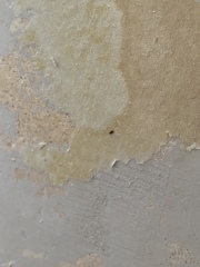 Tell me what this is before I burn the house down 