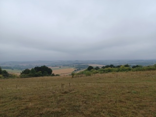 Come chat hiking with me!