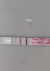 Line progression easy@home tests - no change between 16-18dpo