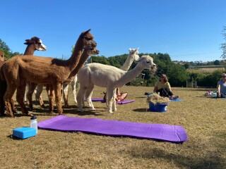 Cancer Support Thread 83 - Here comes the sun (hopefully) 