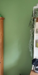 What colour wall paint with white kitchen and grey work tops?