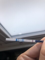 7th Aug Testers