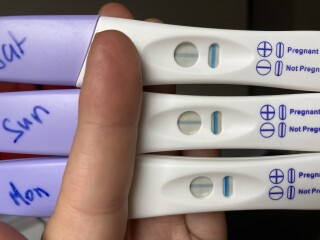 Pregnancy 