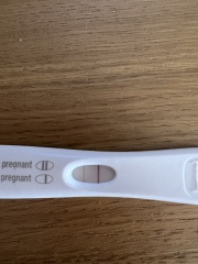 Pregnancy Test