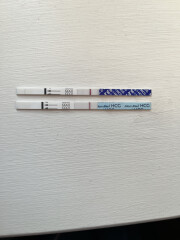 Cd 1 - mid/end August testers