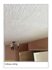 Asbestos & skimming 