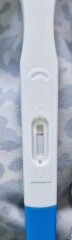 Babies due April 2023