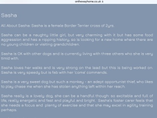 How to know if this rescue centre is genuine?