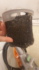 Vax Carpet shampooer is not sucking up water.