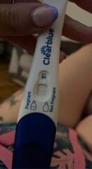 Clear blue evap line