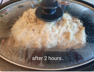 Week 3 - July 22 Low Carb Bootcamp - full-on or Light?