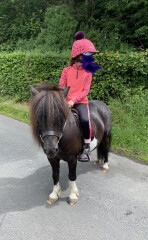 Le mieux sizing (young rider)