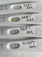 Fertility Appointments and Beyond.... the next chapter