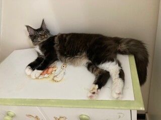 Cancer Support Thread 83 - Here comes the sun (hopefully) 