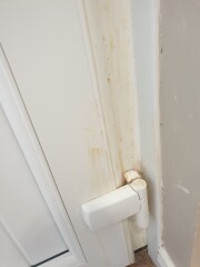 Tell me your top house cleaning tips