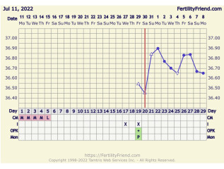 BBT Chart, first month