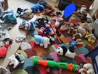 3 massive bin bags of toys OH failed to tell me about 