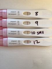 🌈 TTC after miscarriage thread 9 🌈💕🤞⭐️