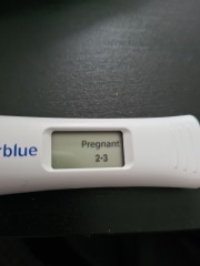 April 2023 Due Date Crew