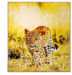 What type of blankets will keep the kids warm this winter? 