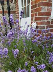 What have you got outside your front door?! 