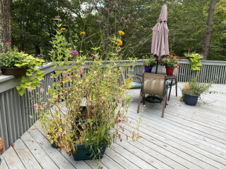 Come and tell me your dull and unexciting news 23: Calmly through the day 