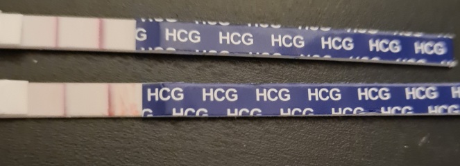 April 2023 Due Date Crew