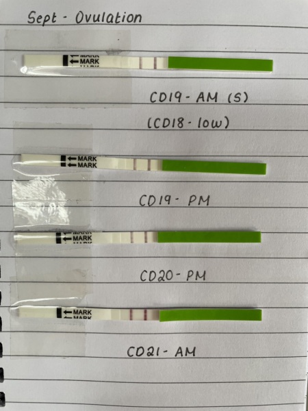 Are these positive ovulation tests??