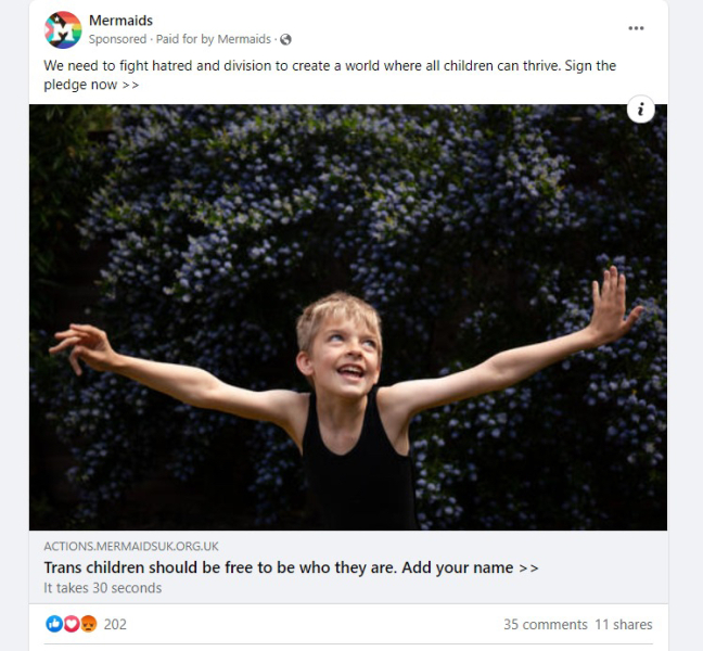 Mermaids being investigated by the charity commission