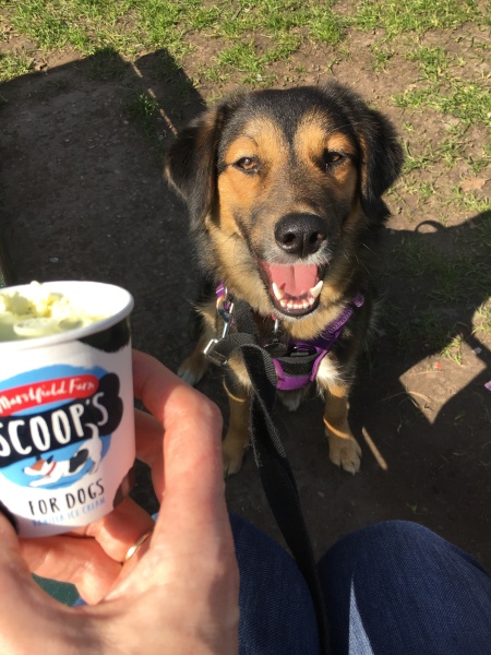 Really struggling with my rescue 