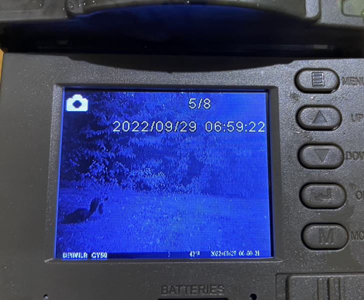 Can anyone identify the creature leaving this poo on my lawn?