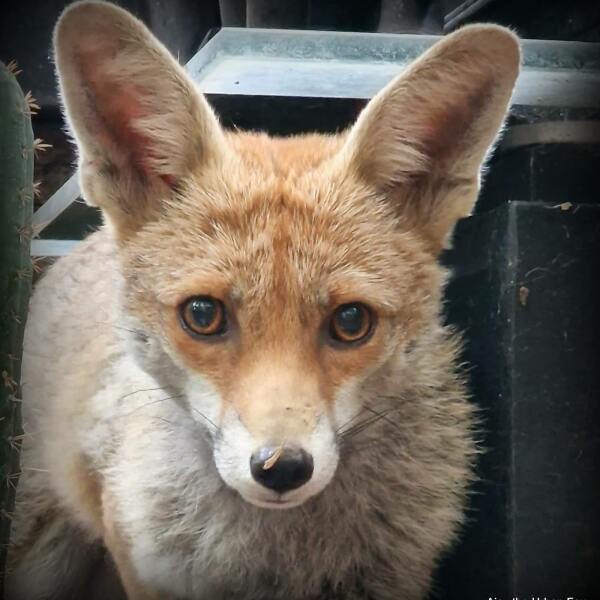 I don't want to be 'reigned over' anymore