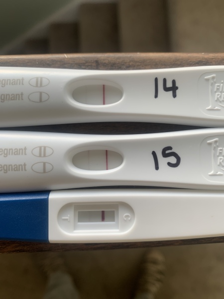 V faint Positive frer and clearblue (not digi) but neg clear clear blue digi