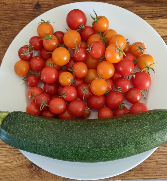 The Vegetable Patch Mark 2