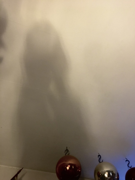 What did we see last night..?