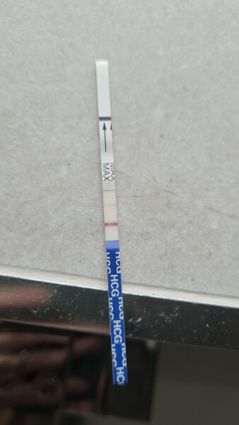 Bfp and bfn