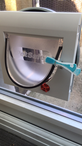 Reluctant cat flap users