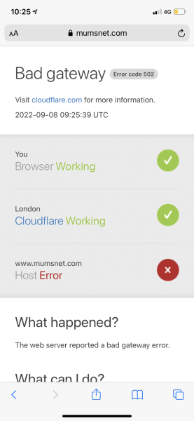 Cloud flare bad gateway?