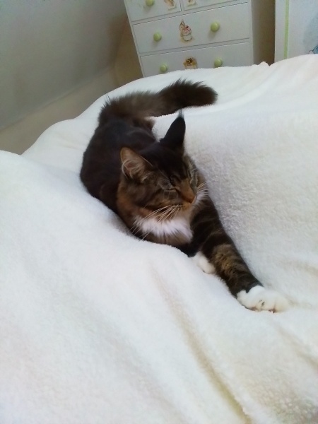 Come and tell me your dull and unexciting news 23: Calmly through the day 