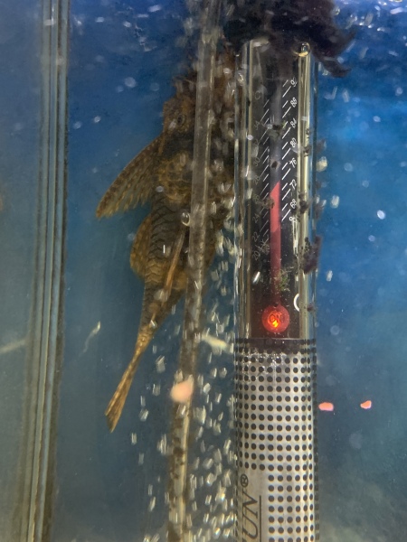 The “how much does this cost to run” thread?