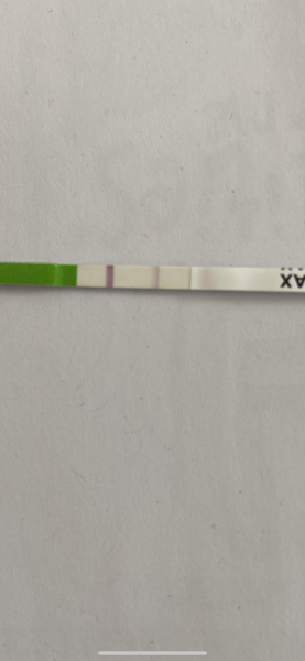Opk as pregnancy test