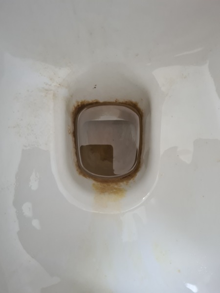 How to clean this toilet?