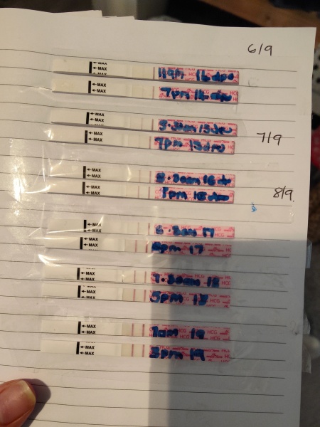3 miscarriages and finally feel ready to try again..