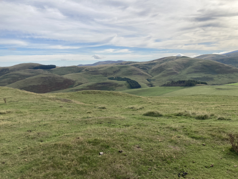 Come chat hiking with me!