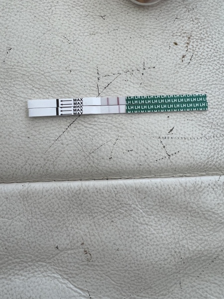 Please help 
