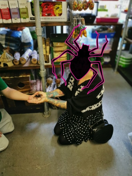 I have arachnophobia and (TW photos!) 