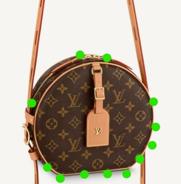 What do you think of this Louis Vuitton?