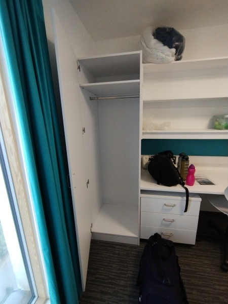 Thread 40 - Corona Cohort , Falling into Autumn 🍂 